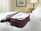 Bed Bug Sealed Luggage Liners