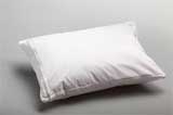 Travel Pillow Encasement With Pillow